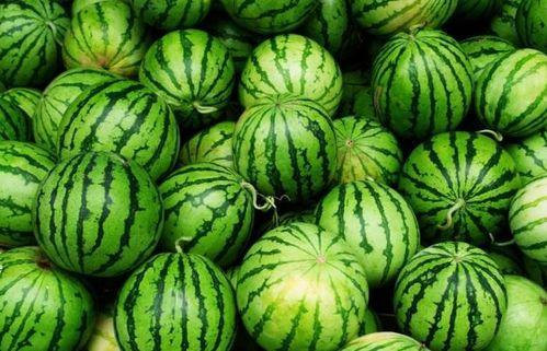 今日吃瓜每日必吃,每日必吃，揭秘娱乐圈新鲜事