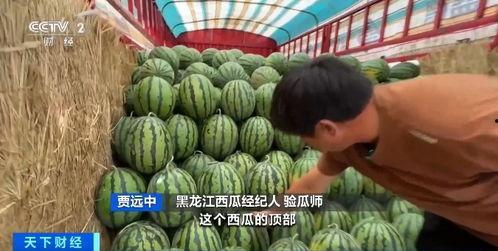 热点吃瓜,吃瓜群众如何解读明星事件